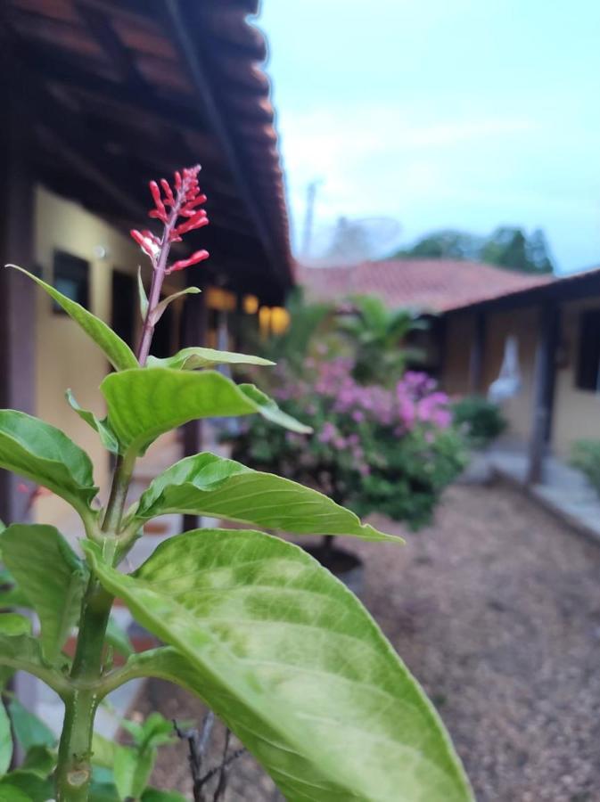 Pousada Boa Vista Brotas Bagian luar foto